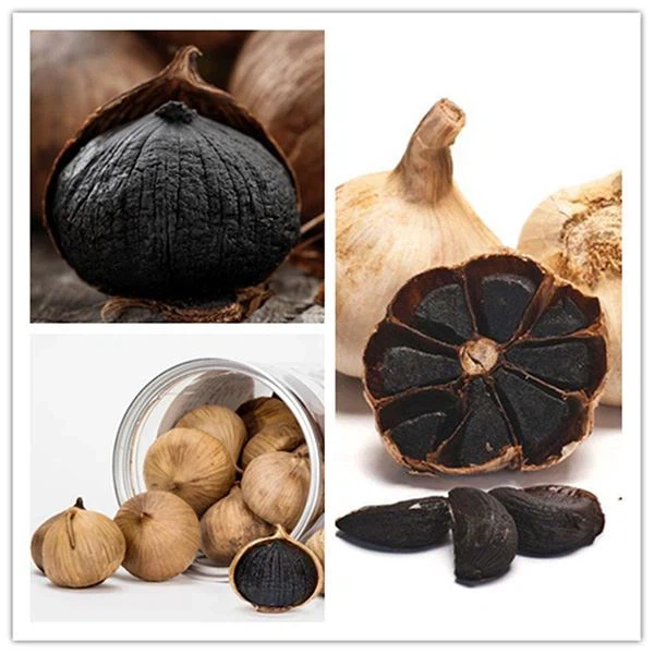 Fermented Organic Black Garlic Healthy Food Fermented Organic Black Garlic Healthy Food