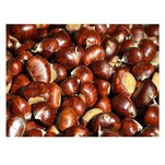 তাজা জৈব চেসনাট জাল ব্যাগ