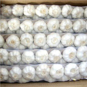 সাদা চামড়া তাজা রসুন বিনুনি